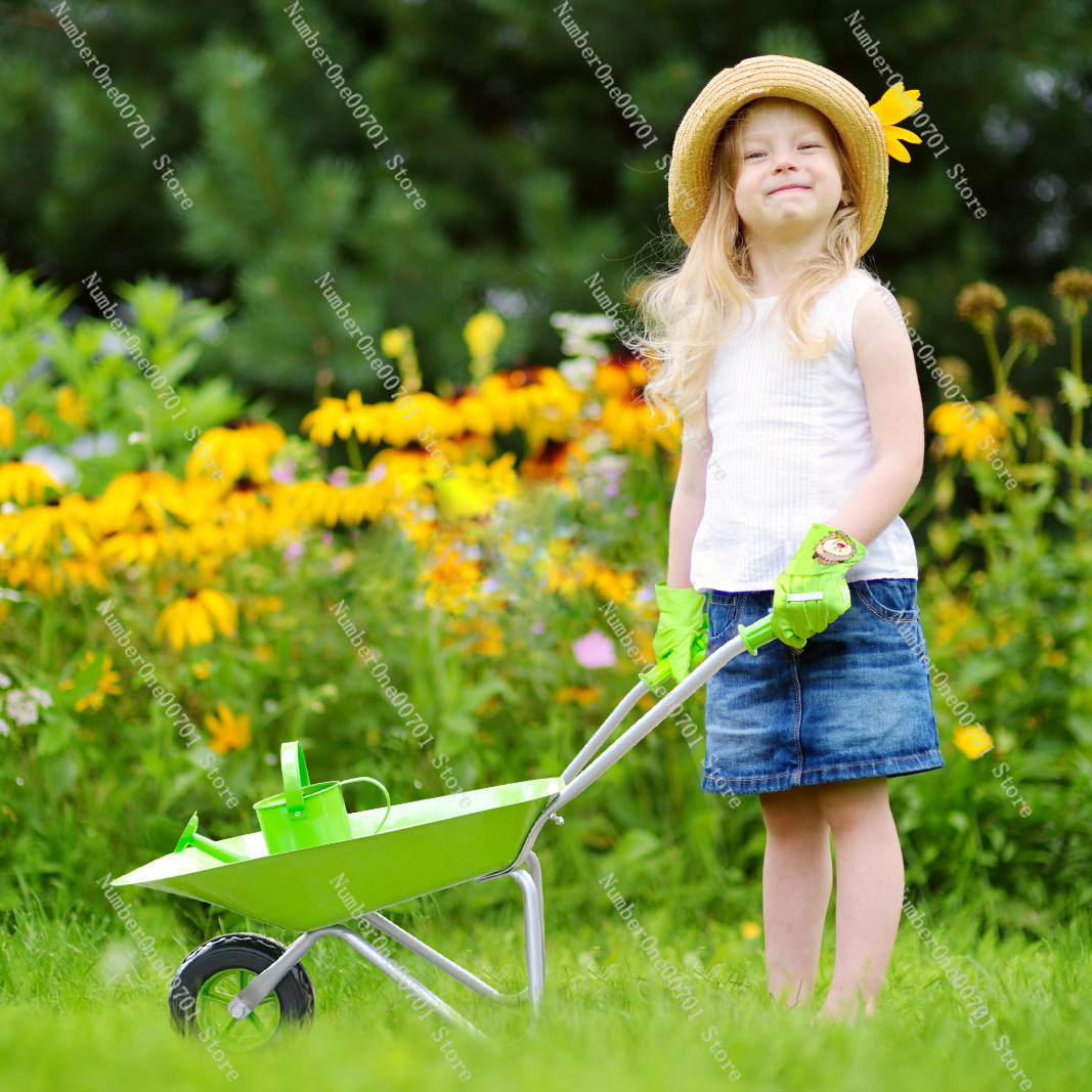Kids Outdoor Wheelbarrow, Gree - Kids Outdoor Set review and price