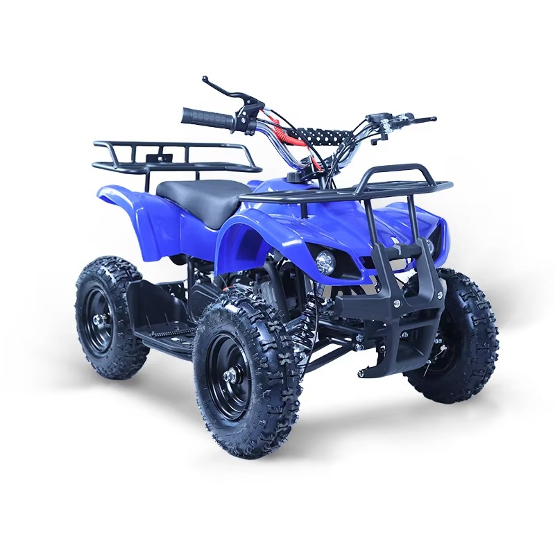 49cc Mini ATV Kids Quad Bike 2 - Kids Outdoor Quad review and price