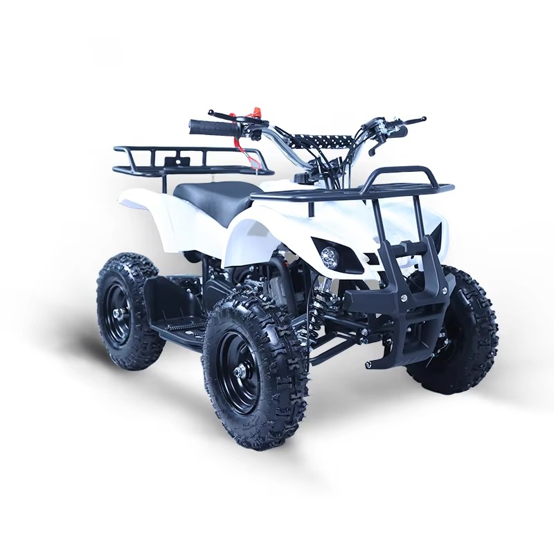 49cc Mini ATV Kids Quad Bike 2 - Kids Outdoor Quad review and price