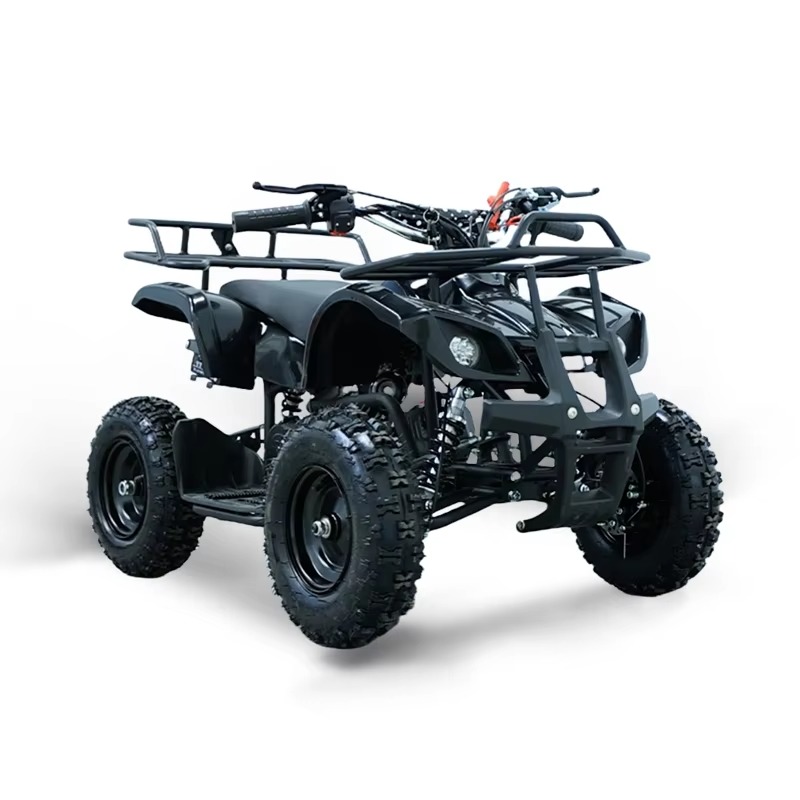 49cc Mini ATV Kids Quad Bike 2 - Kids Outdoor Quad review and price