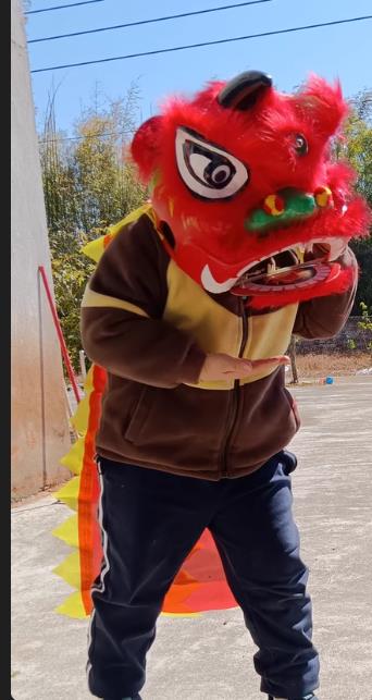 2-5 age 12inch Lion Dance Set  - Kids Outdoor Outfit review and price